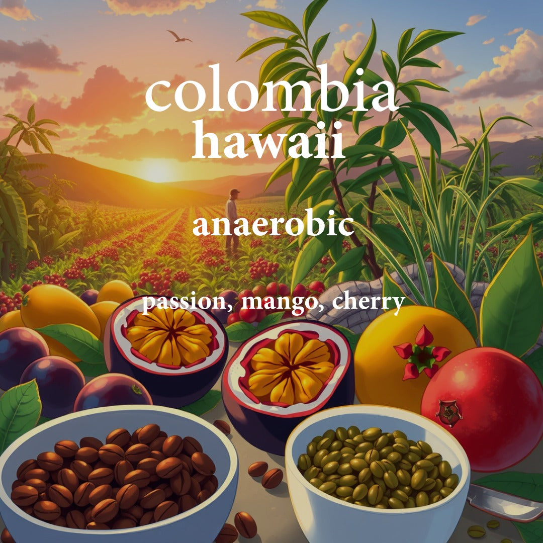 Colombia Hawaii