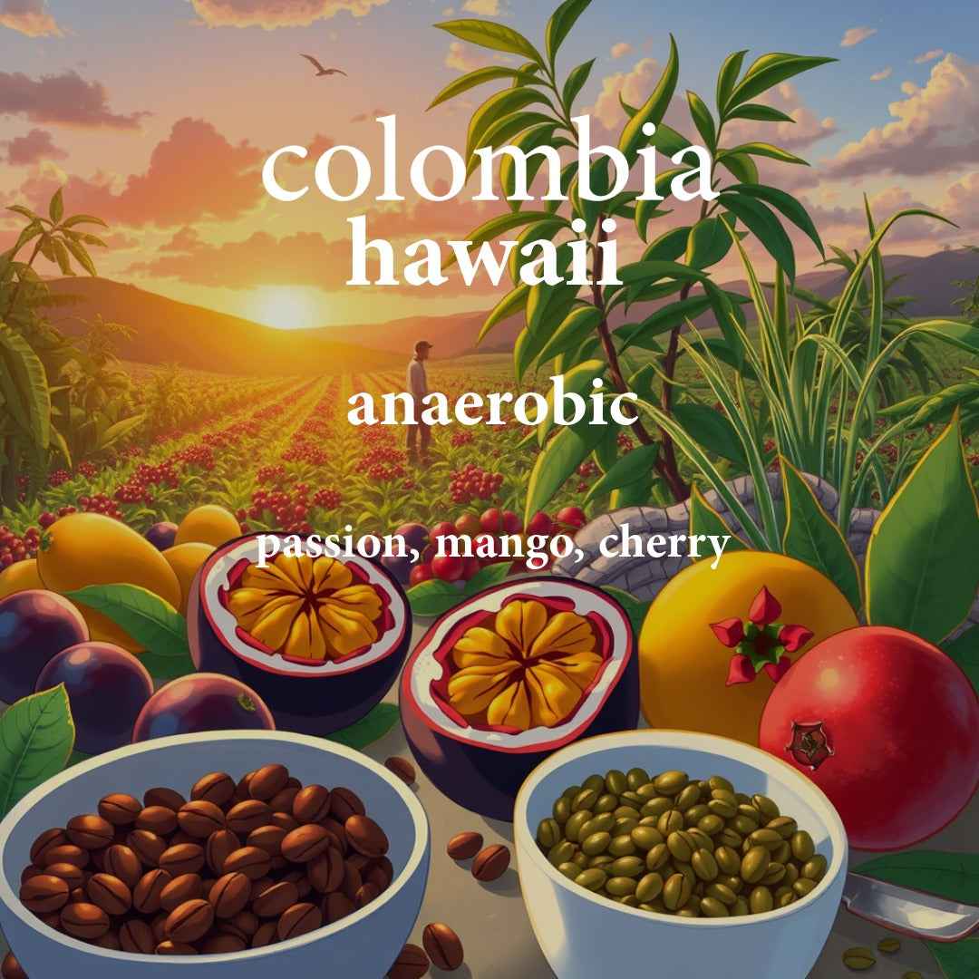 Colombia Hawaii