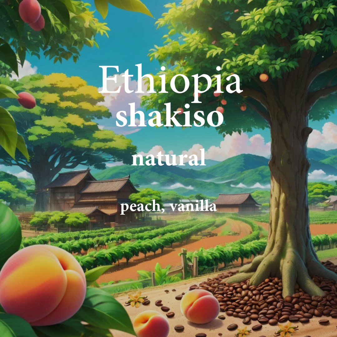 Ethiopia Shakiso
