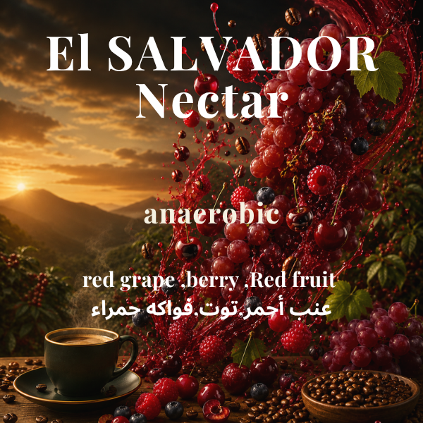 El SALVADOR - Nectar