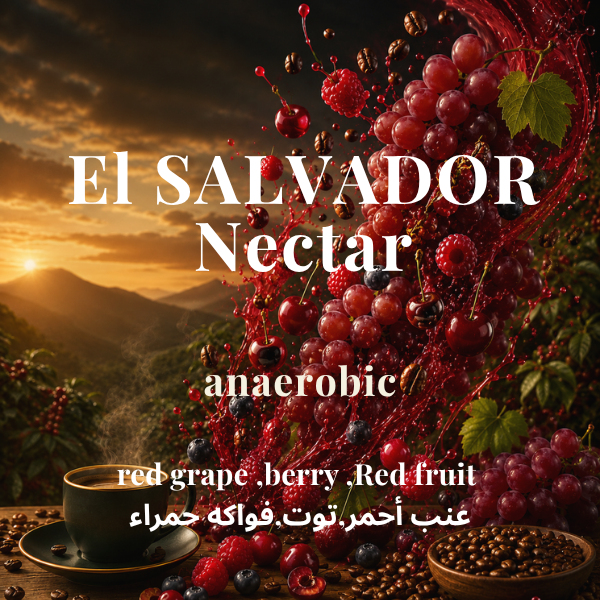 El SALVADOR - Nectar