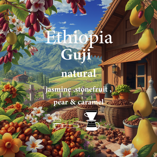 Ethiopia Guji