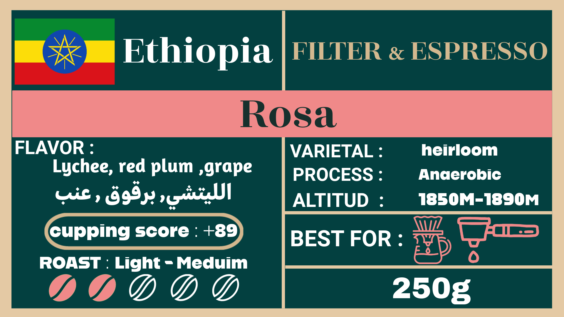 Ethiopia Rosa