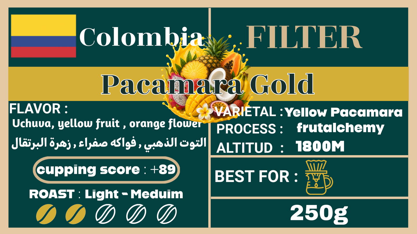 Colombia Pacamara Gold - محمصة العز