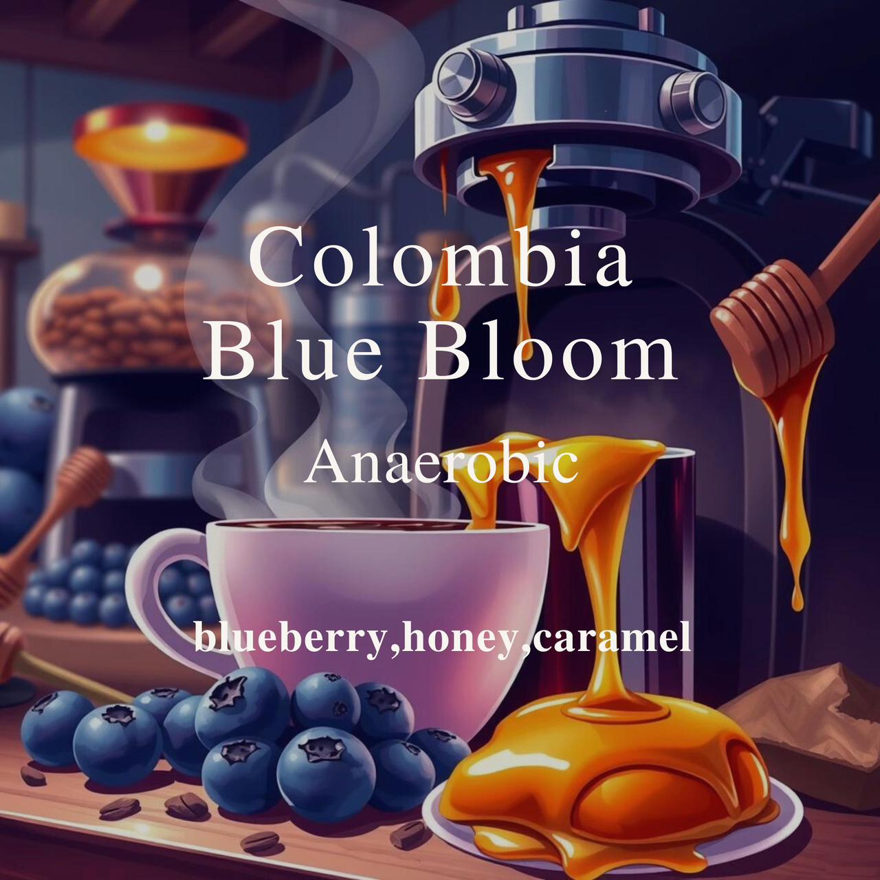 Colombia Blue Bloom