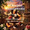 Ethiopia Shantawene