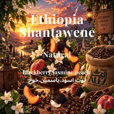 Ethiopia Shantawene